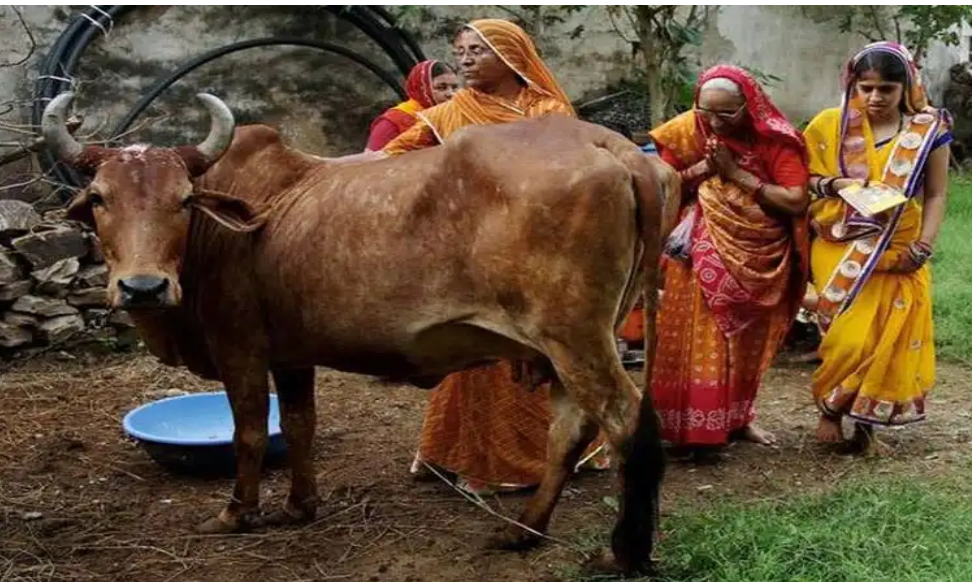 गौ के मूत्र,दूध,दही,गोबर,घी से बनी पंचगव्य में कोरोना जैसी अन्य वाइरस को मिटाने की क्षमता है.