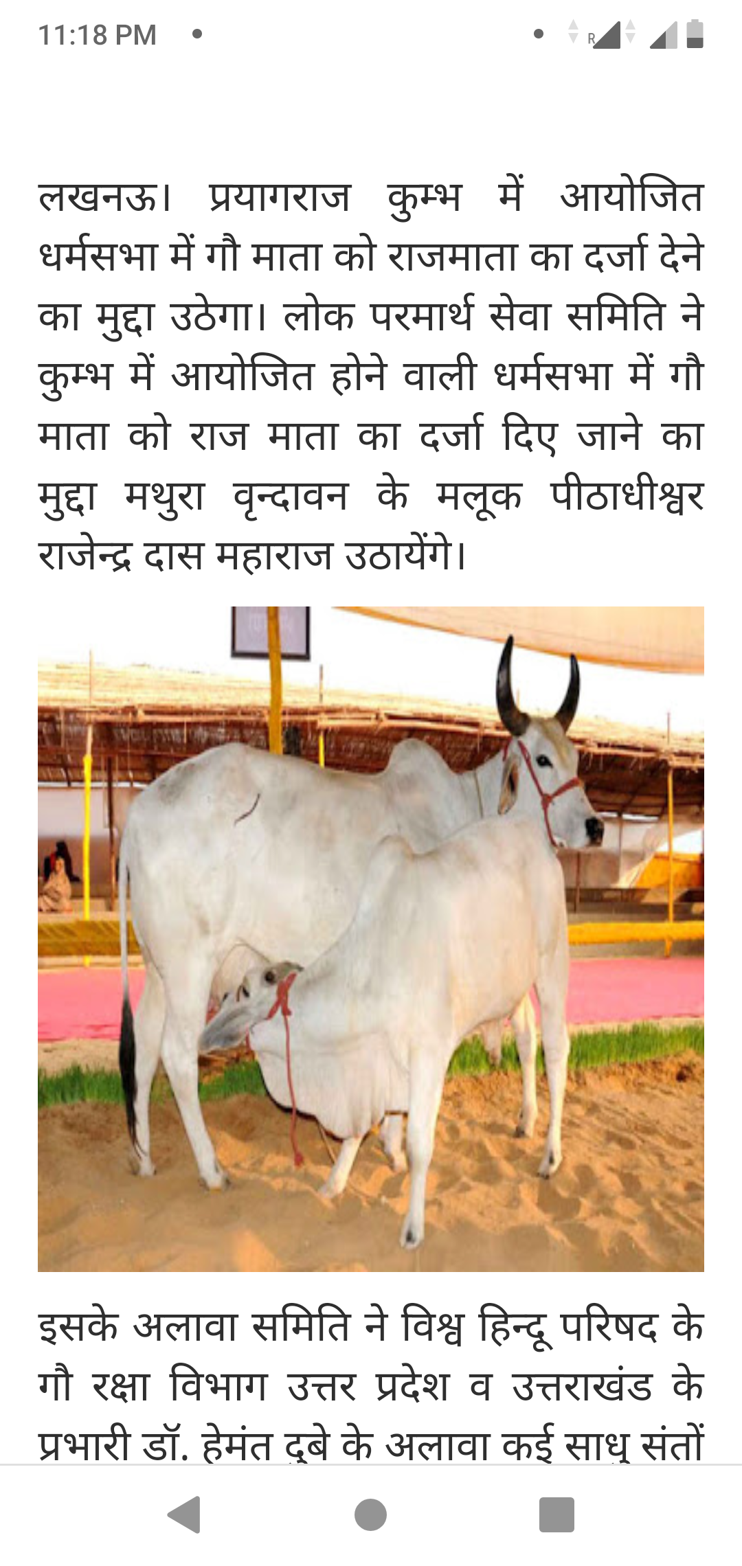 अमेरिकी कंपनी ने खोजा गाय की एंटीबॉडी से जल्द होगी कोरोना का इलाज