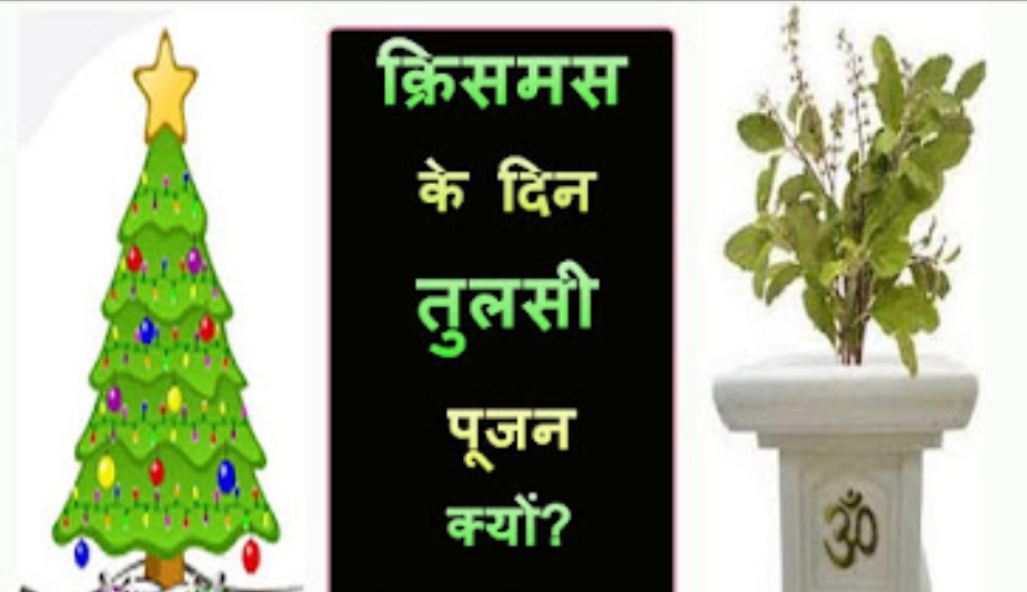 क्रिसमस के साथ तुलसी पूजन: कैसे बदली 25 दिसंबर की तस्वीर
