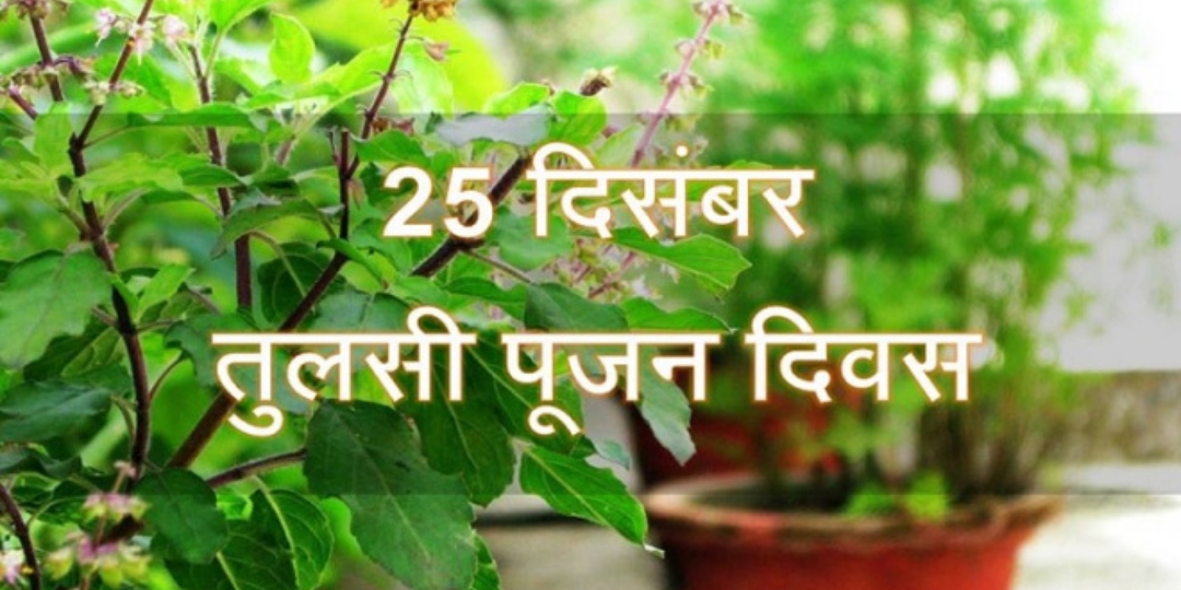 25 दिसंबर को तुलसी पूजन दिवस क्यों? जानिए इसके पीछे क्या है रहस्य !