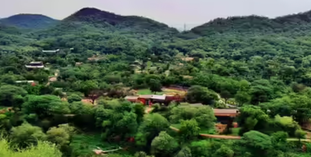 अरावली की पहाड़ियां क्यों चर्चा में हैं? एक सरकारी प्रस्ताव से मचा बवाल, कैसे देशव्यापी अभियान बन गया संरक्षण का मुद्दा