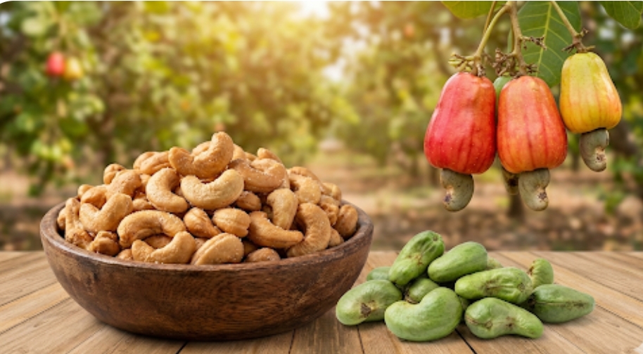 सर्दियों में काजू खाने के फायदे, सेहत के लिए क्यों है फायदेमंद |