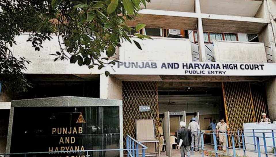 50 किलो गोमांस बरामदगी मामला: ‘धोखा दिया गया’ की दलील पर हाईकोर्ट ने दिखाई सख्ती, आरोपी को अग्रिम राहत नहीं